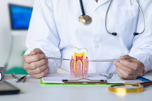 Best Same-Day Emergency Dental Services in Denton, TX